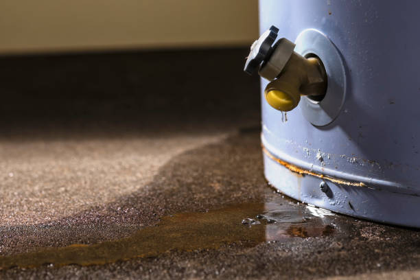 Best Local water damage restoration  in Murrieta, CA