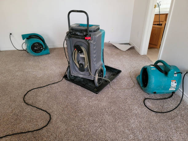 Best Commercial water damage restoration  in Murrieta, CA