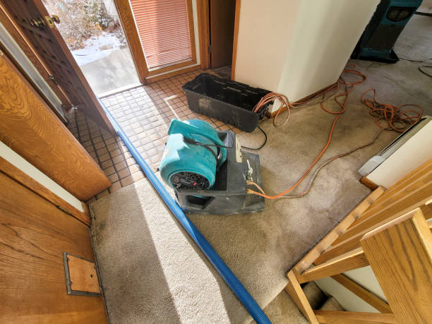 Water damage restoration insurance claims in Murrieta, CA