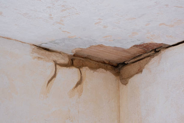Professional Water damage restoration in Murrieta, CA