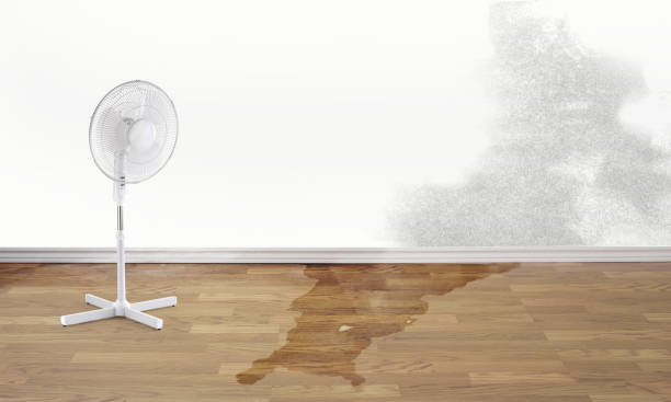 Best Flood restoration services  in Murrieta, CA