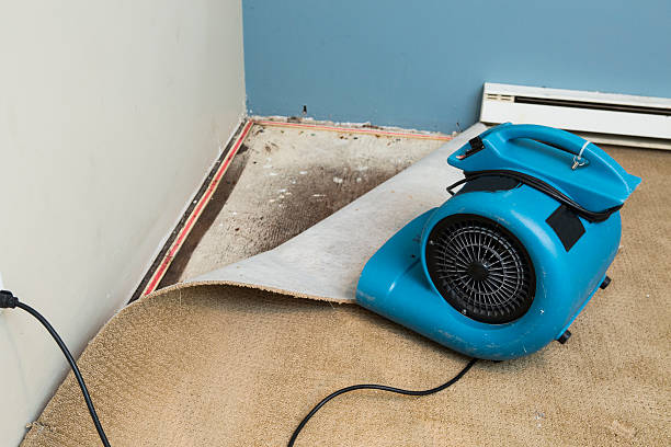 Best Water damage cleanup near me  in Murrieta, CA